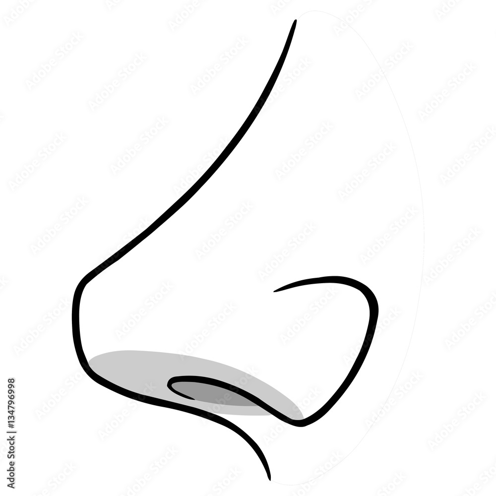 Nose Side View Illustration