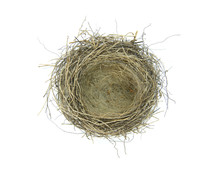 Empty Birds Nest