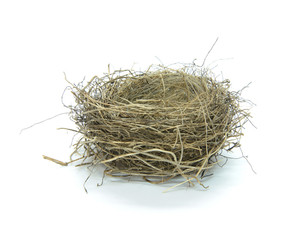 Empty birds nest