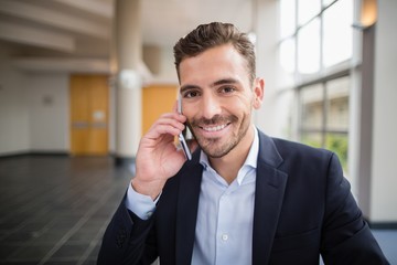 Wall Mural - Businessman talking on mobile phone