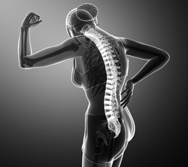 Women Feeling the Back pain