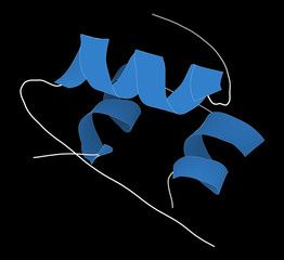 Poster - Insulin peptide hormone molecule. Used in treatment of diabetes.