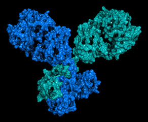 Sticker - IgG1 monoclonal antibody (immunoglobulin). 3D rendering. 