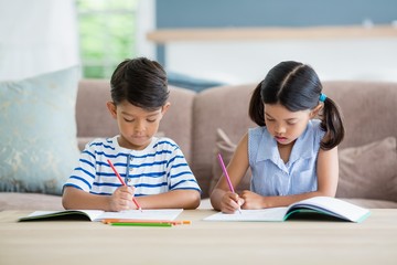 Poster - Attentive siblings doing homework in living room