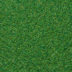 Wall Mural - green grass background texture
