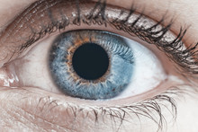Human Blue Eye Close Up In Detail Macro