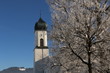 Kirche in Andelsbuch, Vorarlberg, davor ein Baum mit Raureif