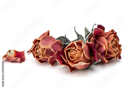 Naklejka - mata magnetyczna na lodówkę dried rose flower head isolated on white background cutout