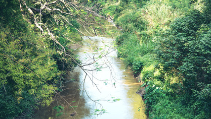 Wall Mural - River in a countryside with green nature background