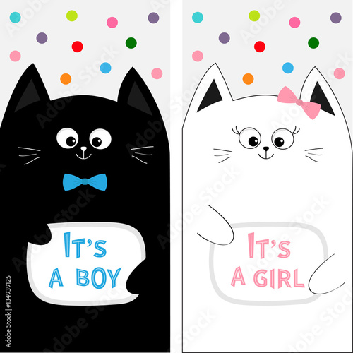 Cat Family Couple With Bow Flyer Poster Set Cute Funny Cartoon Character Its A Boy Girl Baby Shower Greeting Card Flat Design White Background Colorful Round Dots Stock Vector Adobe Stock