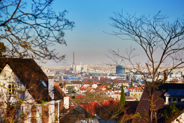 Panoramic skyline of Paris with the Eiffel tower and Sacre-Coeur cathedral