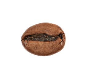 Single coffee bean isolated