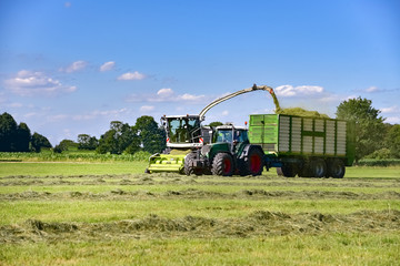 Wall Mural - Grass harvest for grass silage - with modern technology