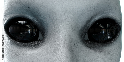 Fotografie, Obraz alien head. close up. UFO concept. isolate. 3d rendering.