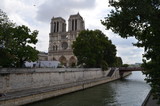 Fototapeta Paryż - Katedra Notre Dame w Paryżu/Notre Dame cathedral in Paris, France