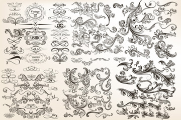 Wall Mural - big collection or set of vector vintage flourishes for design in