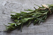 Fresh green rosemary herb on old wooden background.Rosemary herb.Rosemary bound on a wooden table.Selective focus.