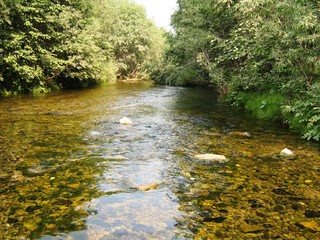 the nature of siberia 2