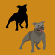 american bull terrier vector illustration style Flat set