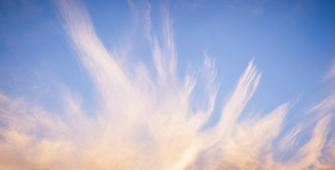 Wall Mural - sky background on sunset. nature composition. panoramic sunset sky background. sunrise sky with ligh