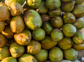 green coconuts