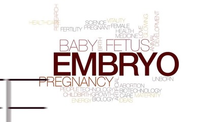 Sticker - Embryo animated word cloud, text design animation. Kinetic typography.