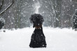 © fotorince - Mysterious lonely woman in Victorian dress departing into the distance