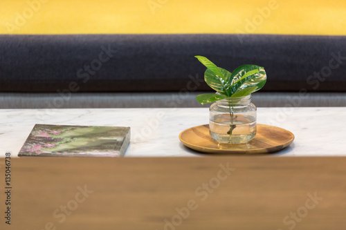 Small green plant