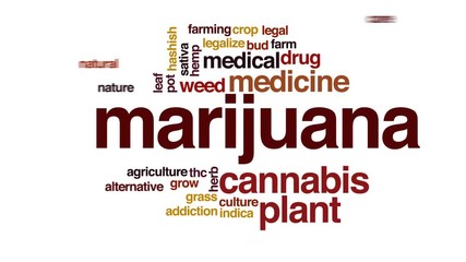 Wall Mural - Marijuana animated word cloud, text design animation.