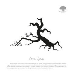 Wall Mural - Silhouette of the old broken tree on a white background. Black d