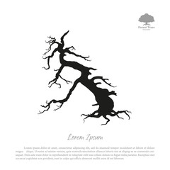 Wall Mural - Silhouette of the old broken tree on a white background. Black d