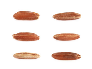 Sticker - Six single rice grains isolated