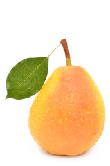 Sticker - Pears