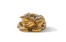 Cash Mascot - Chan Chu - A Gold Frog Figurine Sitting On Coins.isolated On White Background With Clipping Path.