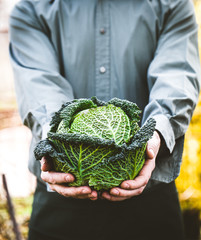 Wall Mural - Farmer with kale