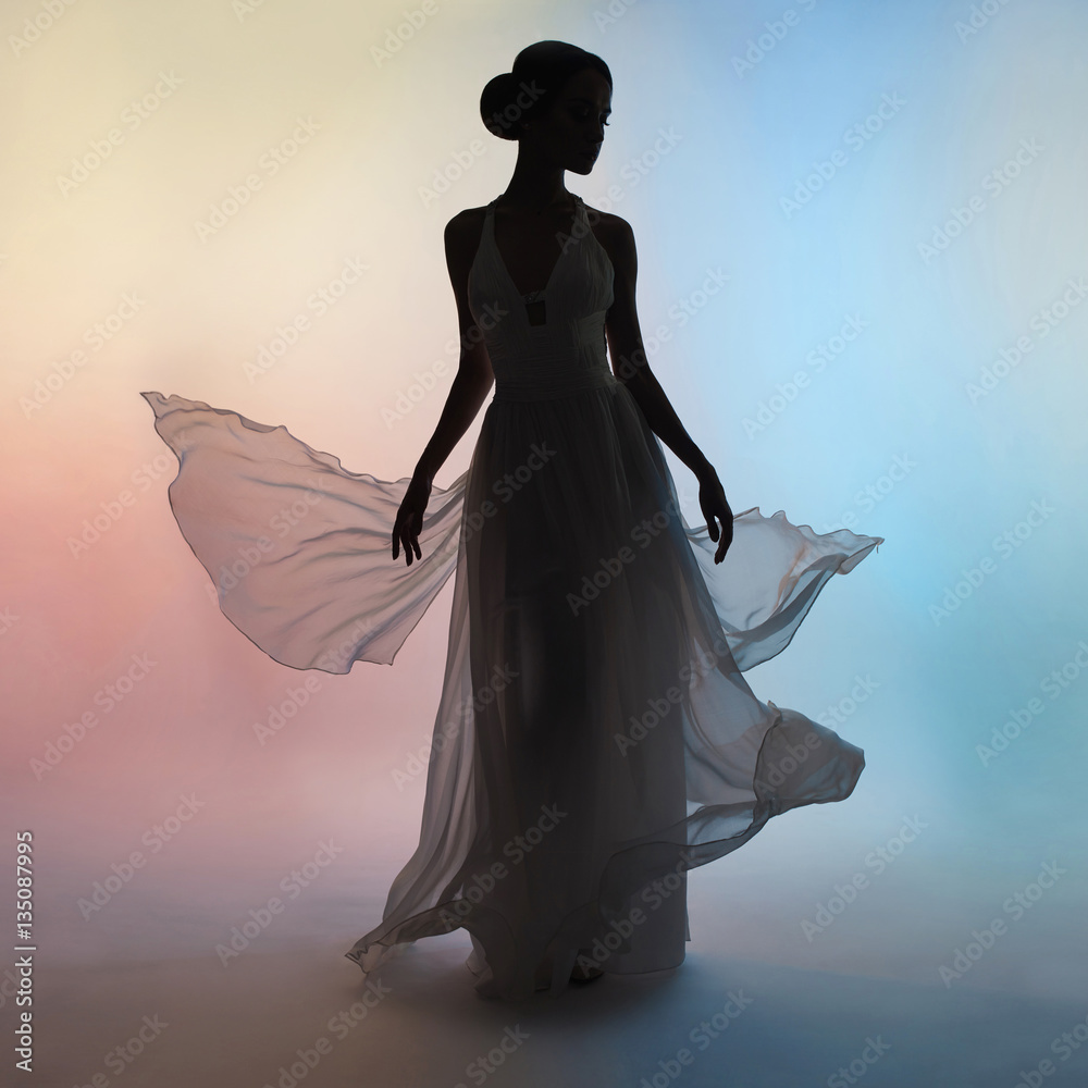 Silhouette elegant woman in blowing dress Stock Photo | Adobe Stock