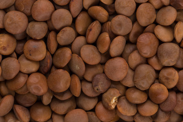 Brown lentils close up