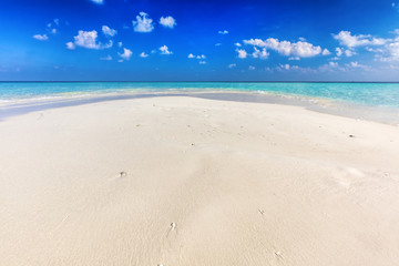 Wall Mural - Tropical beach with white sand and clear turquoise ocean. Maldives