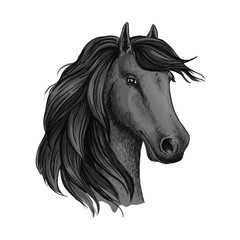 Naklejka na meble Sketched head of mustang or horse, stallion