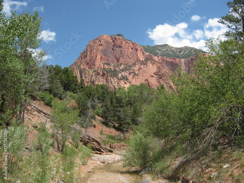 Horse Ranch Mountain, the Highest Peak in Zion National Park Stock