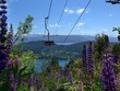 An empty Chairlift on Cerro Campanario in Bariloche in Spring with wild flowers blooming.