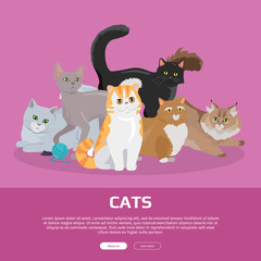 Wall Mural - Cats Breeds Flat Vector Web Banner
