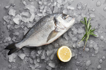 Wall Mural - Fresh dorado or gilthead bream cooking with lemon and rosemary on stone background