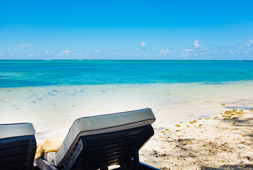 Wall Mural - empty deckchairs on the beach . Mauritius island