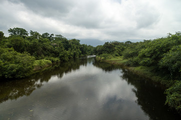 Wall Mural - Aerial View of Tropical Rainforest