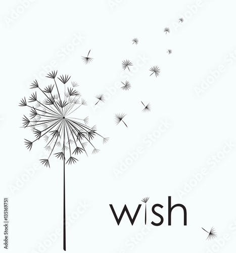 Fotografía Dandelion vector. Wish. Simple minimalist style.
