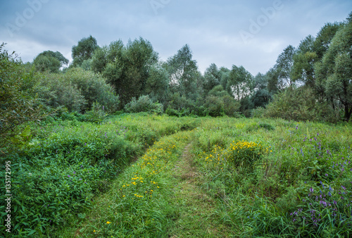 Path Through Field And Forest Overgrown With Grass And Flowers Against A Dark Sky Buy This Stock Photo And Explore Similar Images At Adobe Stock Adobe Stock