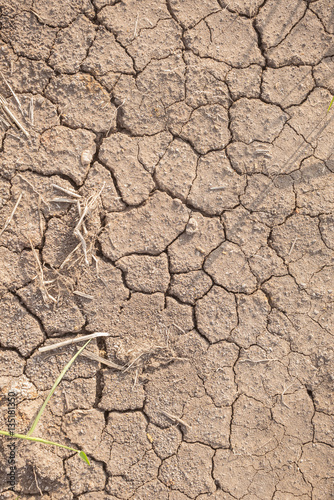 Fotografie, Obraz The dry summer soil water deficit impact of El Nino, La Nina
