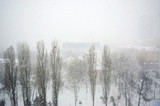Fototapeta Las - Snowfall in the city.
