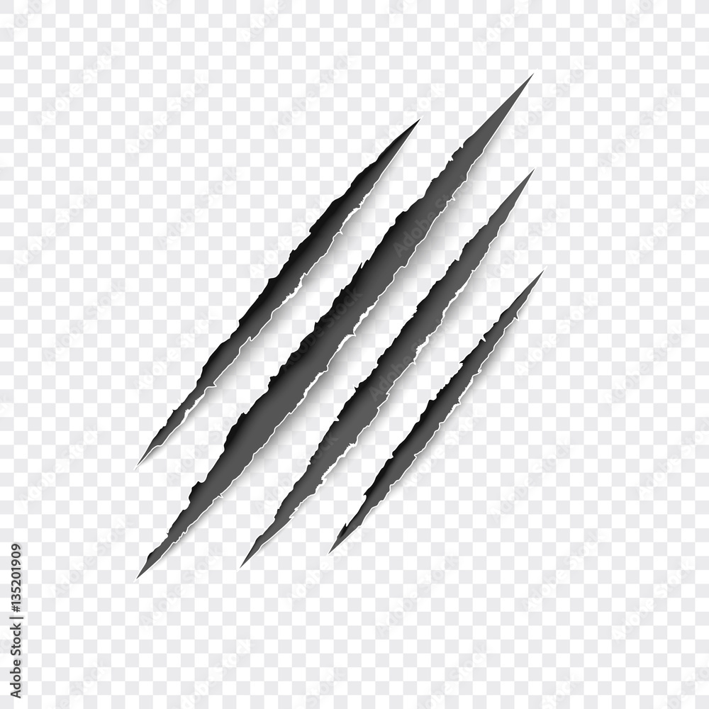 Claws scratches - vector isolated on transparent background. Claws scratching animal (cat, tiger, lion, bear) illustration.  - obrazy, fototapety, plakaty 